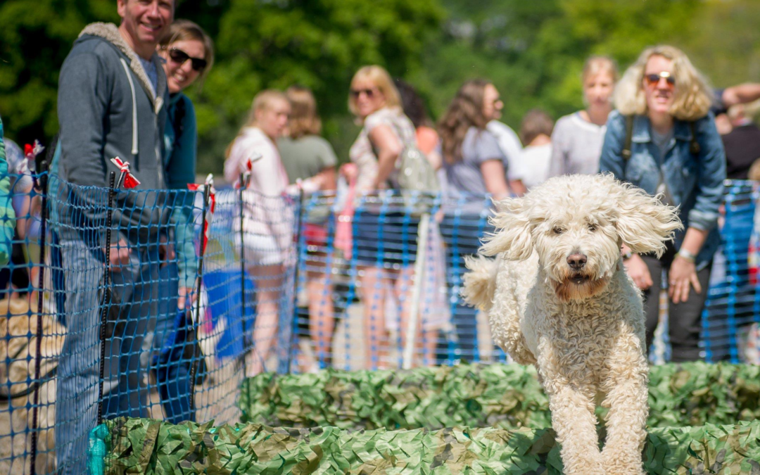 Doggy Summer Fete featuring the Remembrance Parade 11th September