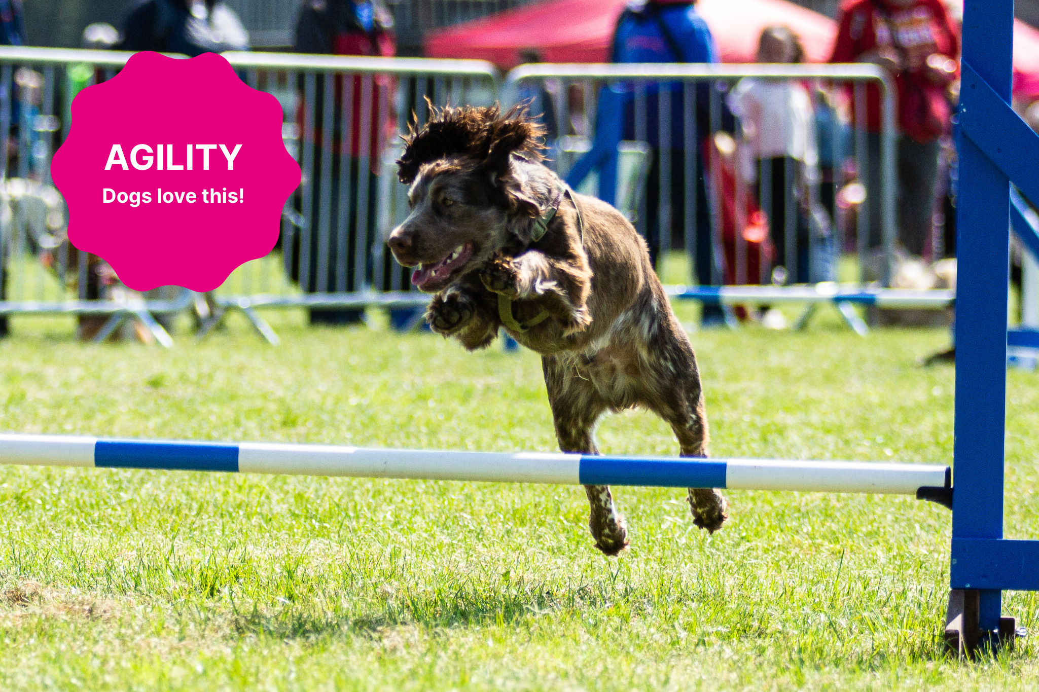 Agility