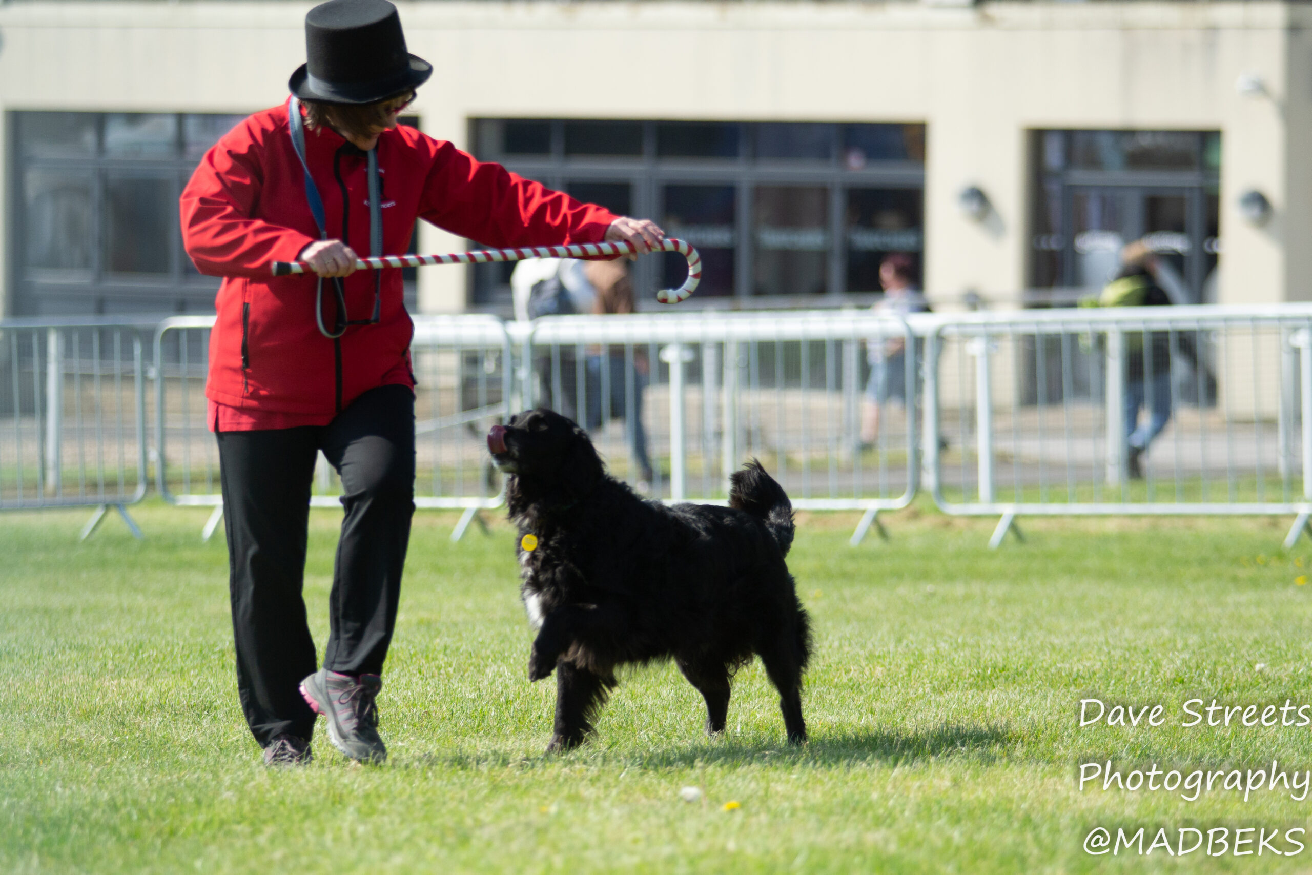 A great family day out with our 4 month old Bear Debbie Dare