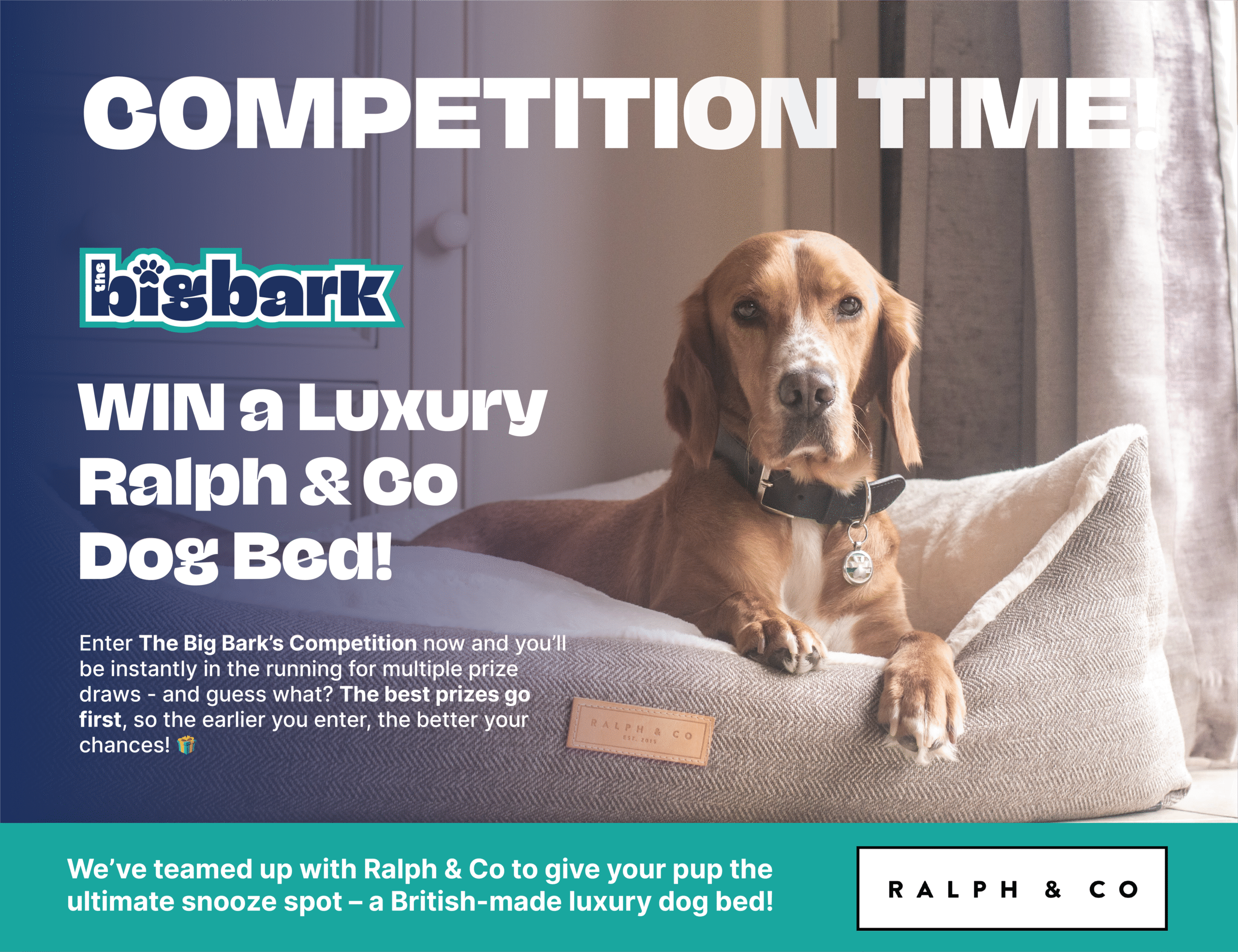Ralph&co Competition Big Bark Bathurst