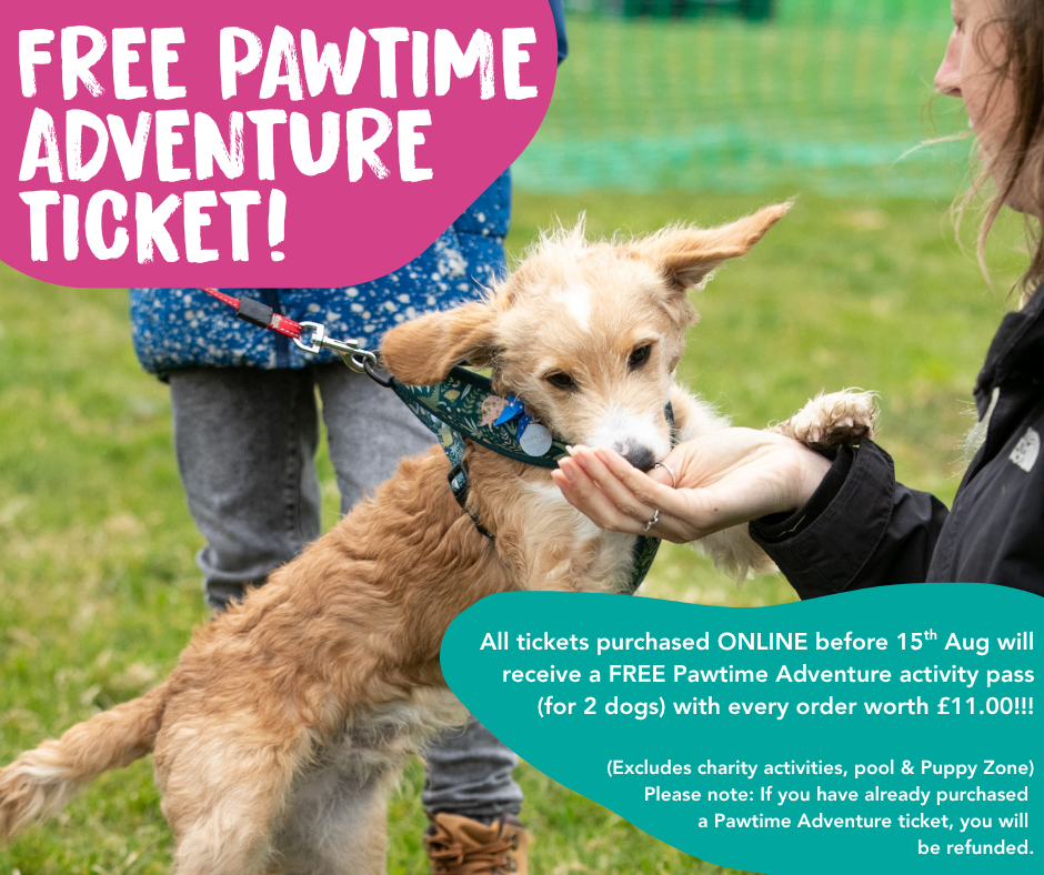 Pawtime adventure ticket