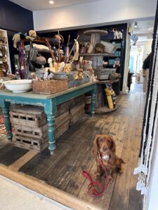 Tetbury Pet Shop