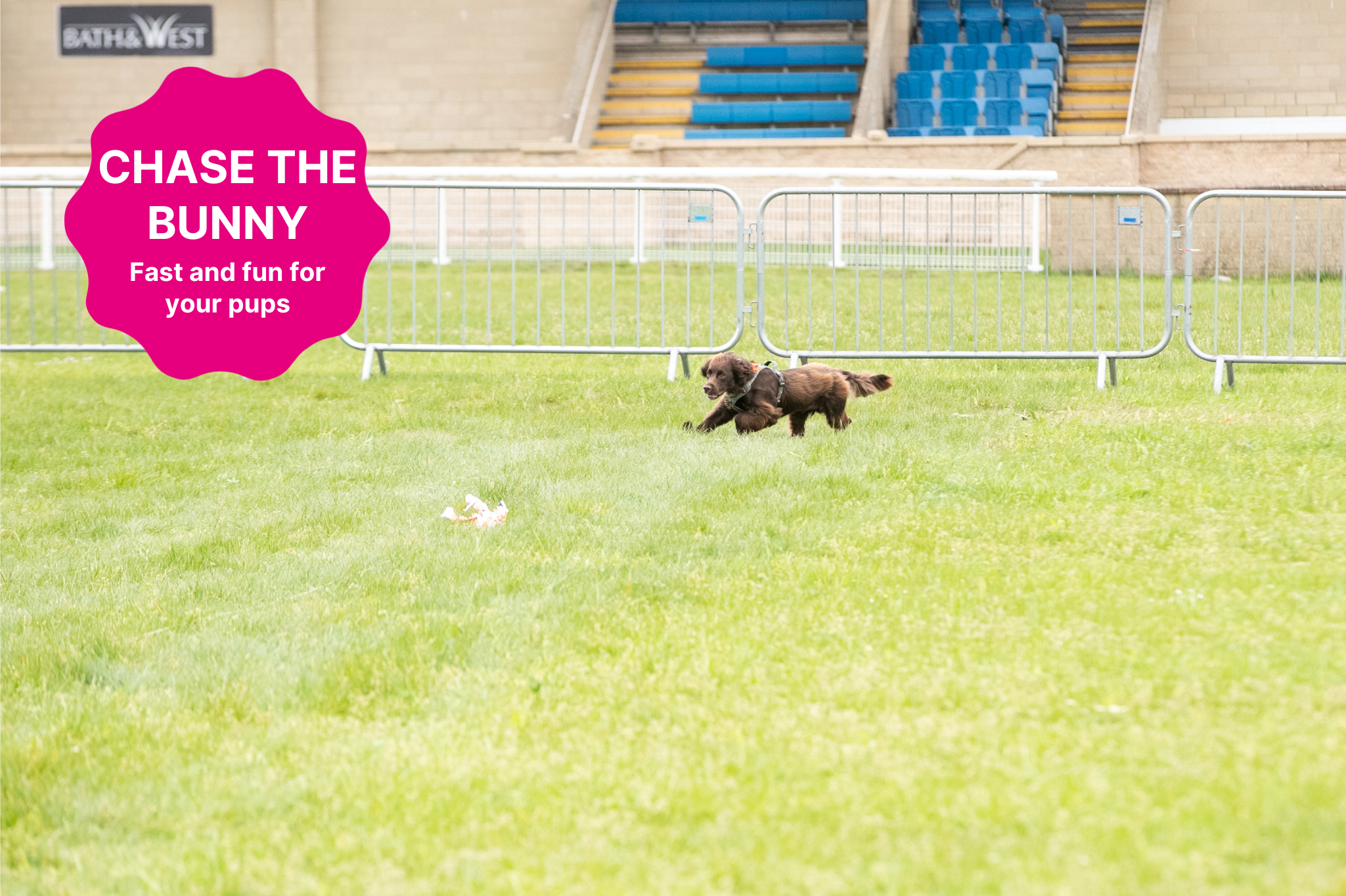 Big Bark Template (1) Chase the bunny