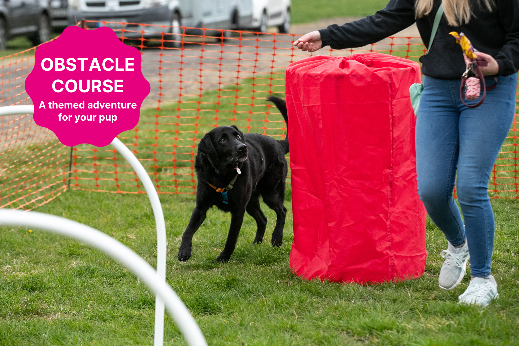 Big Bark Template (2) Obstacle Course