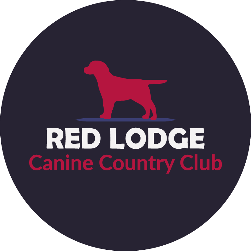 Red Lodge Canine Country Club