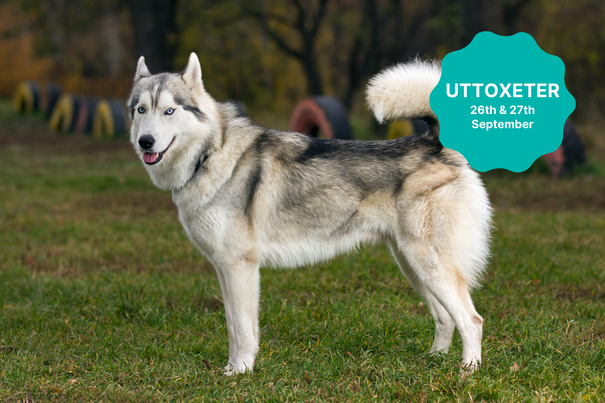 Big Bark Template (24) Team Cold Feet Huskies