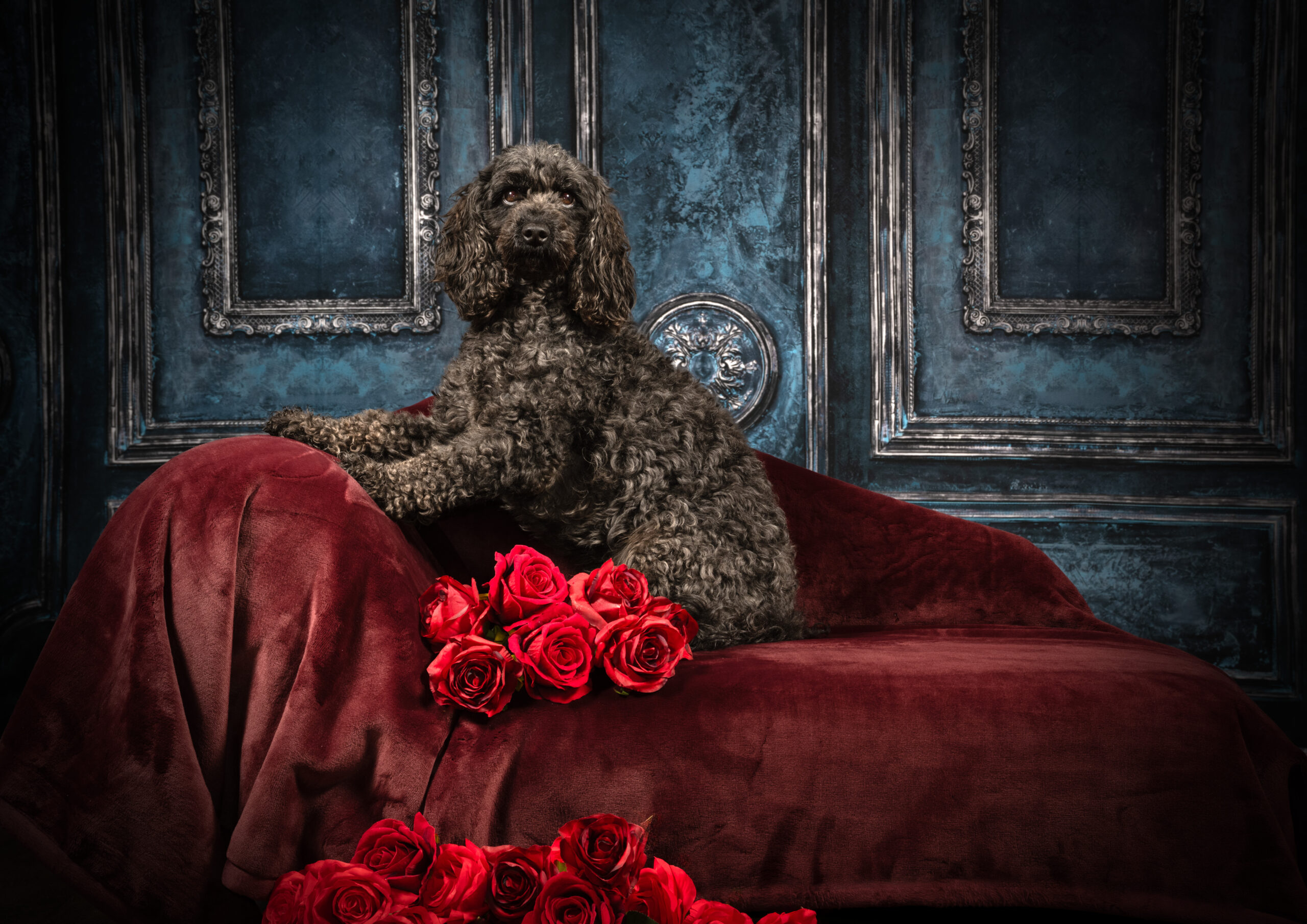 Ian Richardson Photography