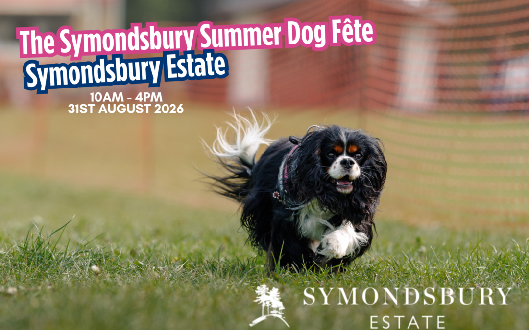 The Symondsbury Summer Dog Fête