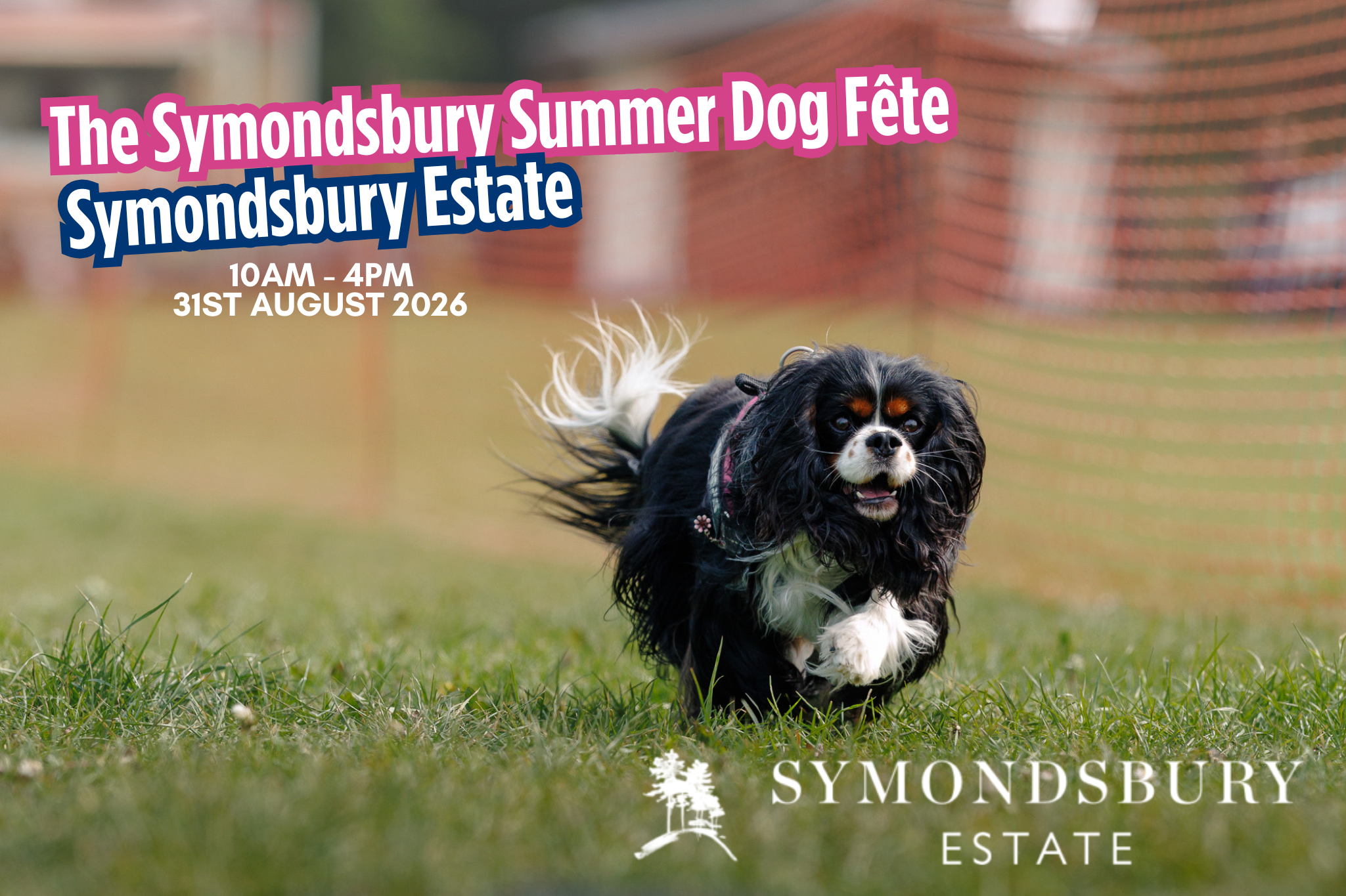 The Symondsbury Summer Dog Fête
