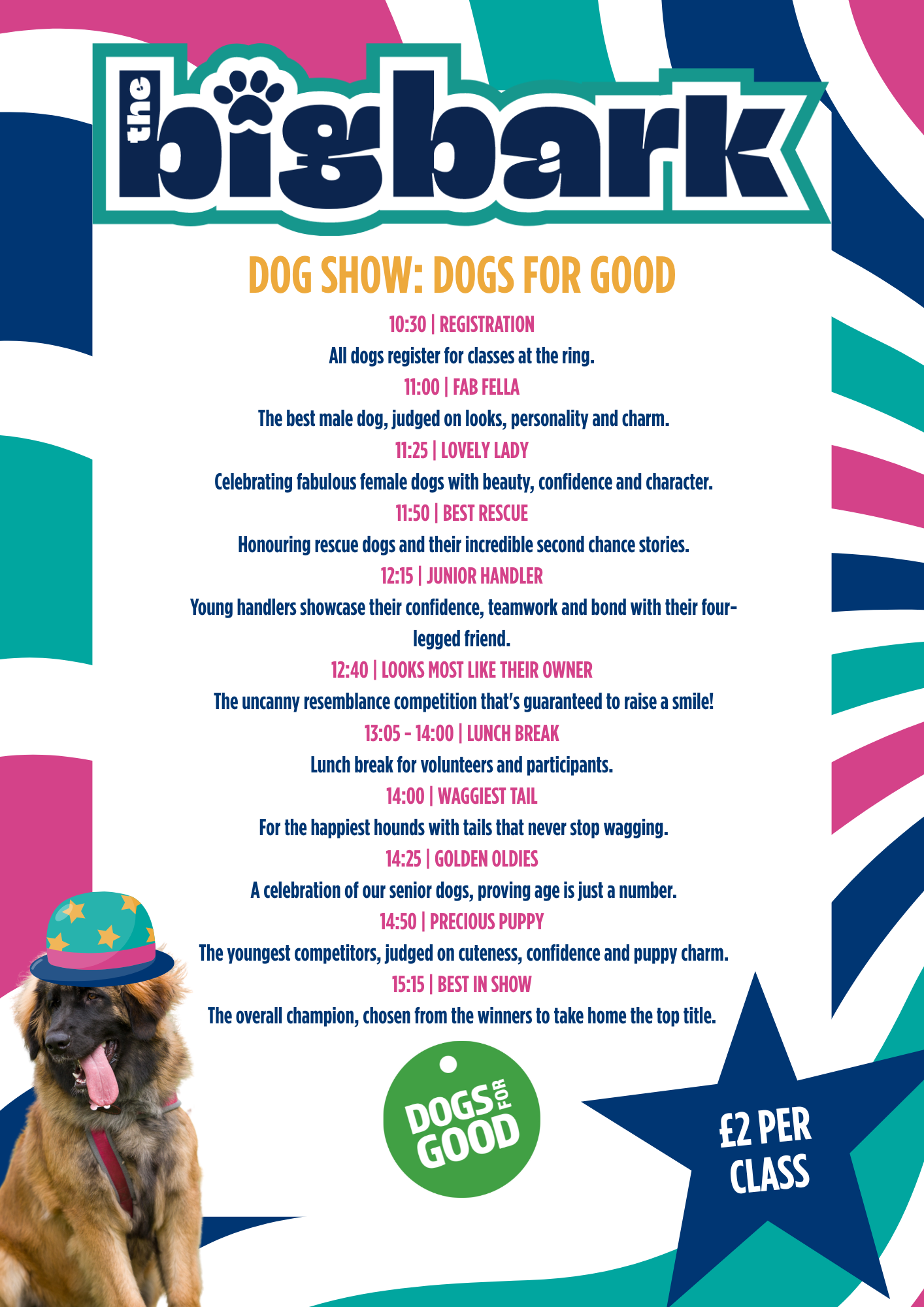 Towcester Dog Show Dogs for Good Towcester Dog Show Dogs for Good