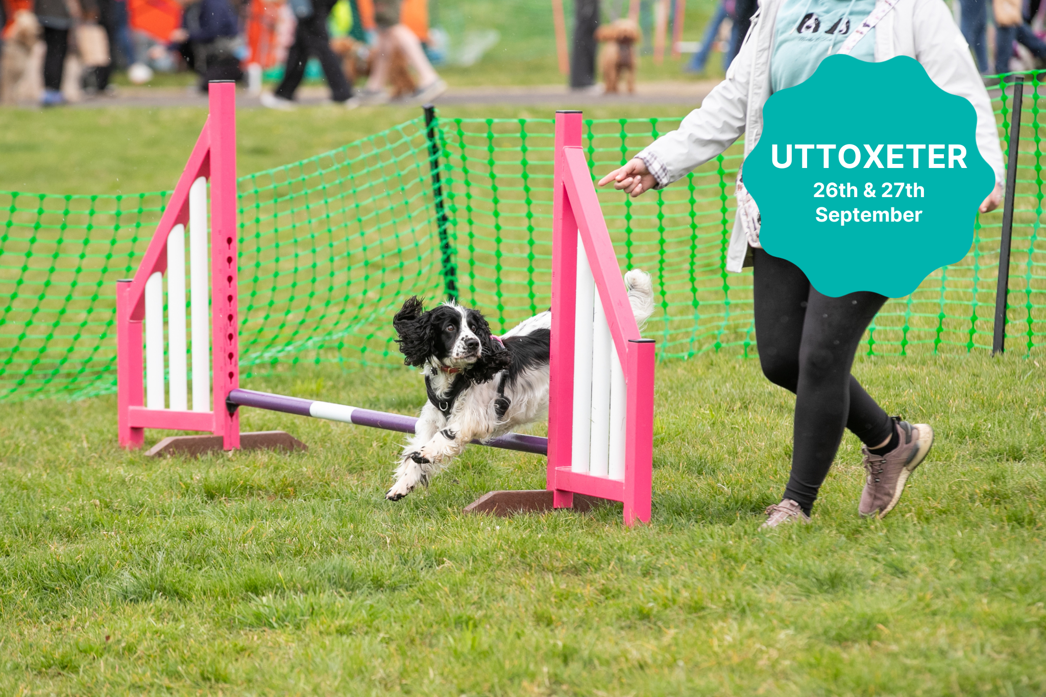 Big Bark Template (27) Agility