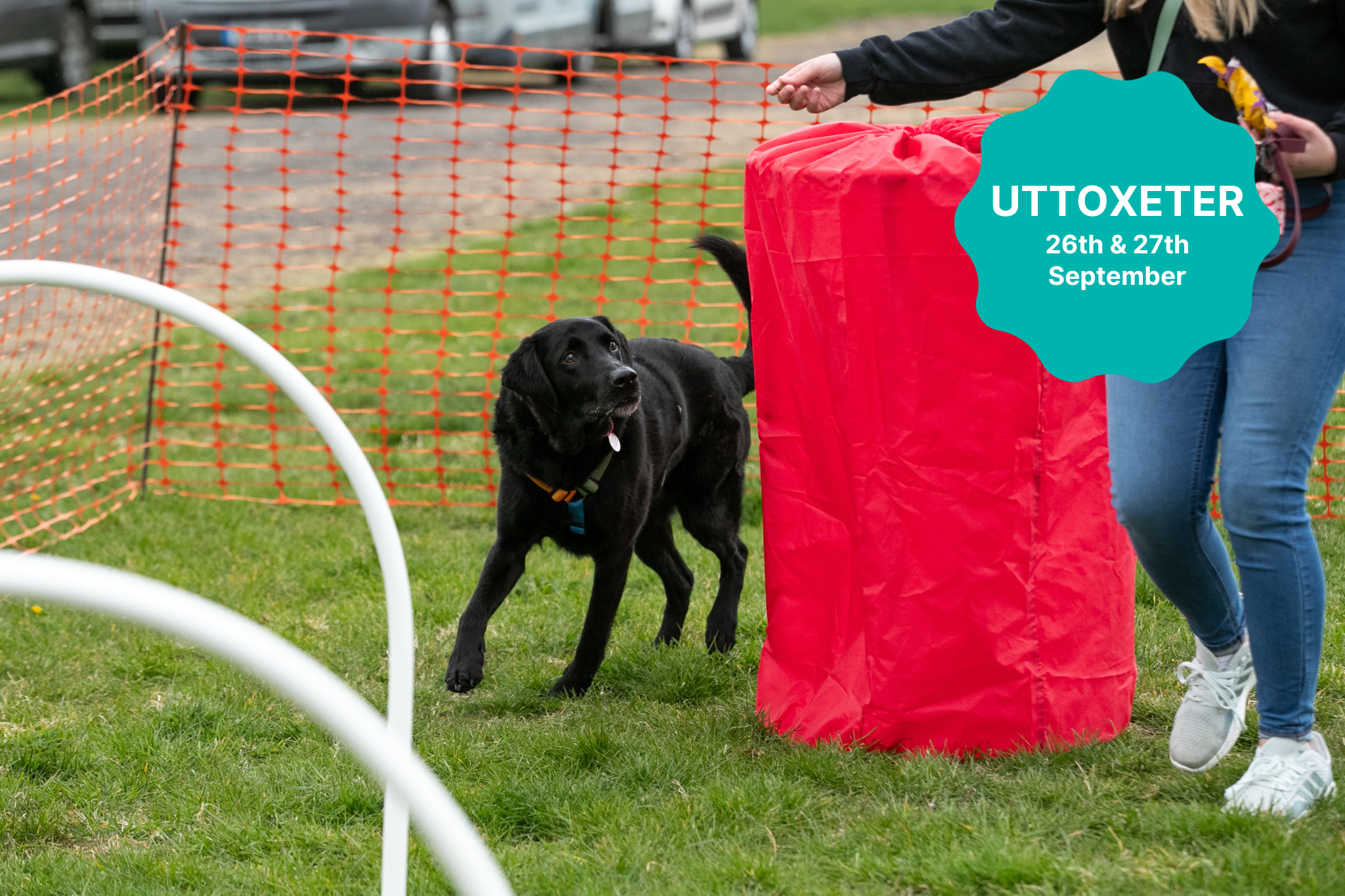 Big Bark Template (29) Obstacle course